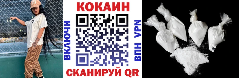 КОКАИН Fish Scale  Купить закладки  Олёкминск 