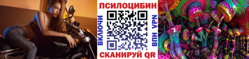 Купить закладки  Олёкминск  Псилоцибиновые грибы GOLDEN TEACHER 
